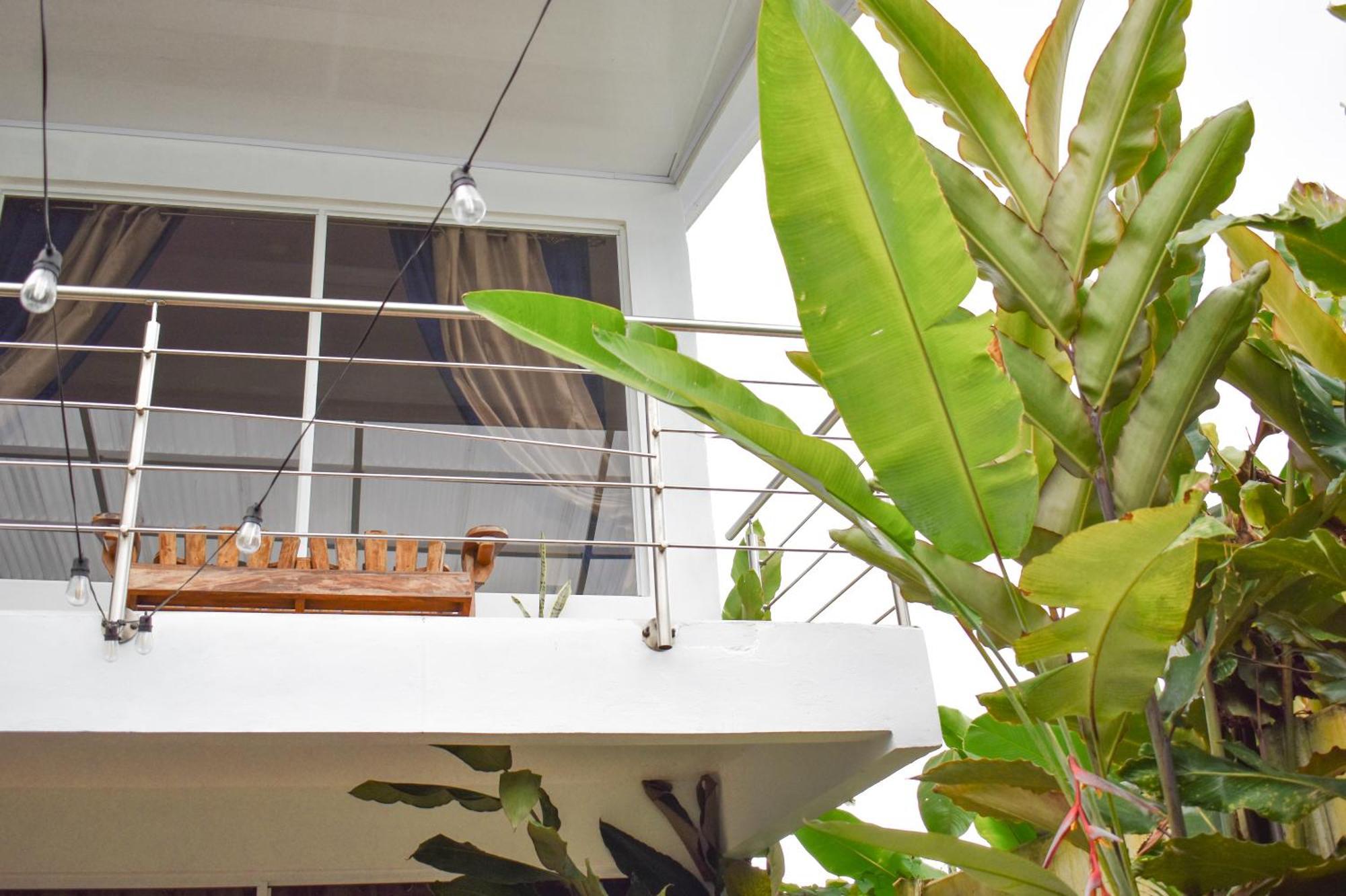 Hotel Serendipity Tortuguero Exterior photo