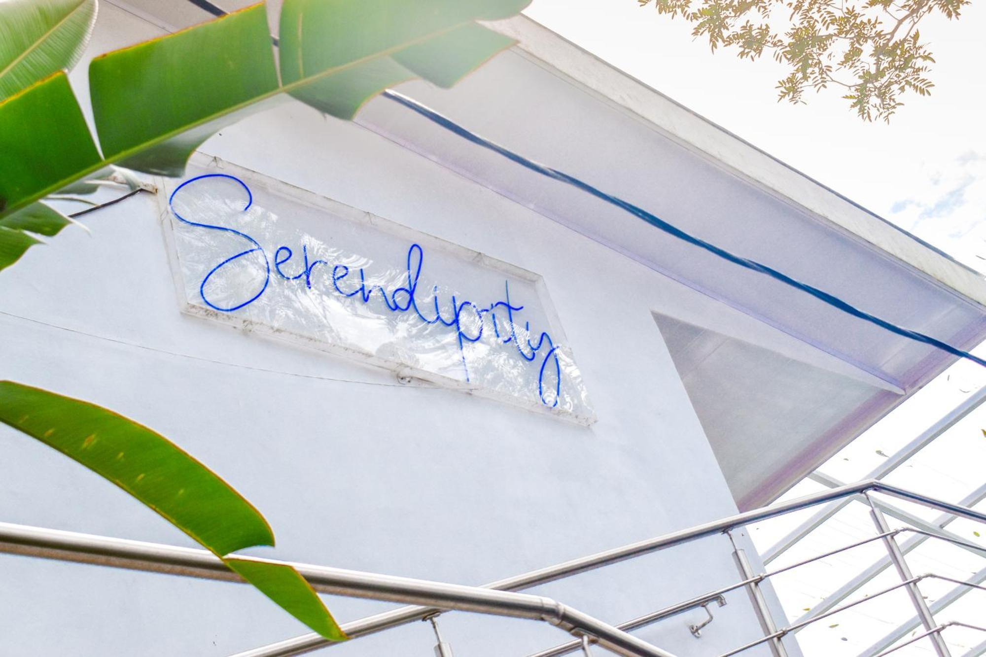Hotel Serendipity Tortuguero Exterior photo