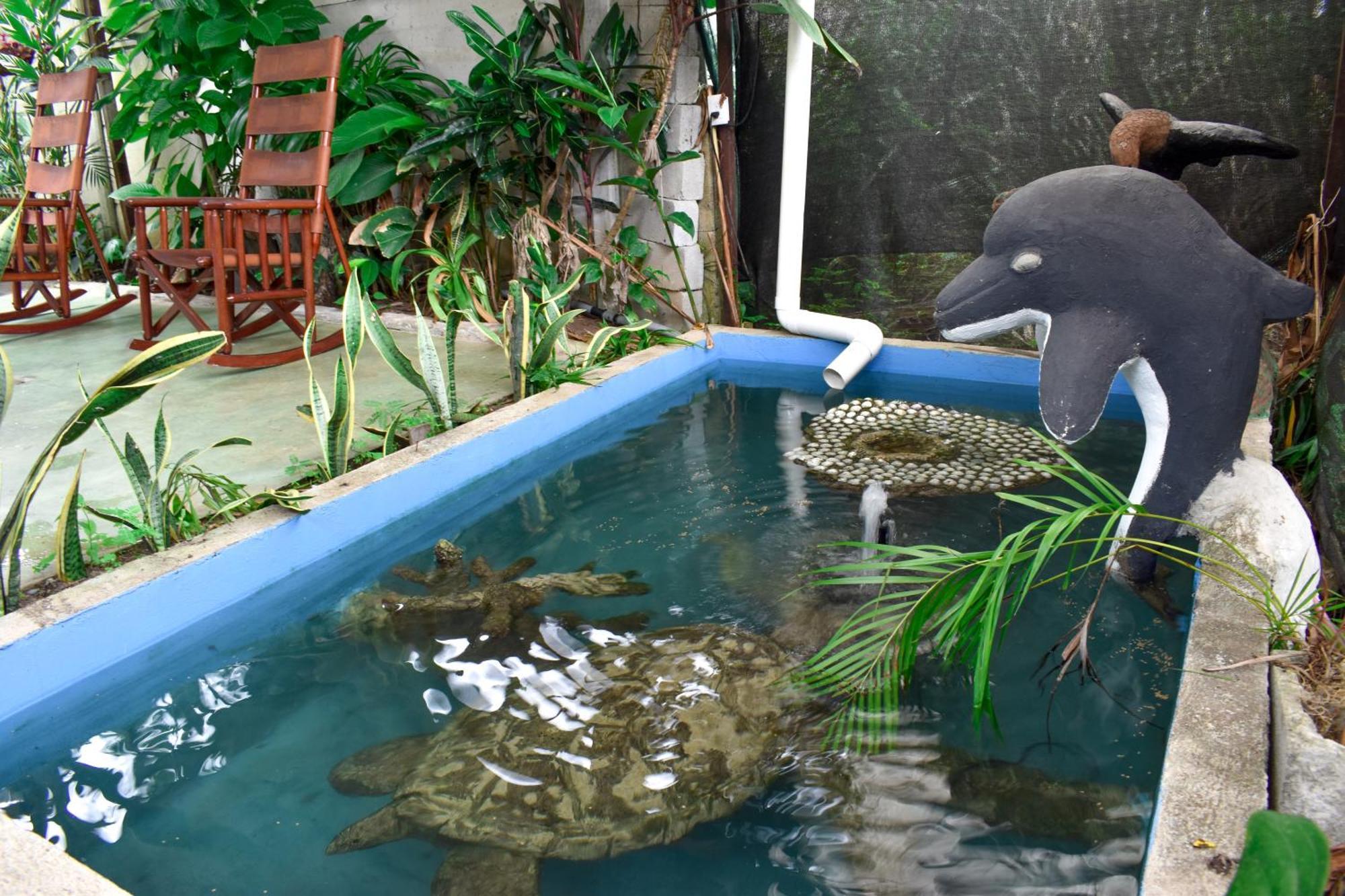 Hotel Serendipity Tortuguero Exterior photo