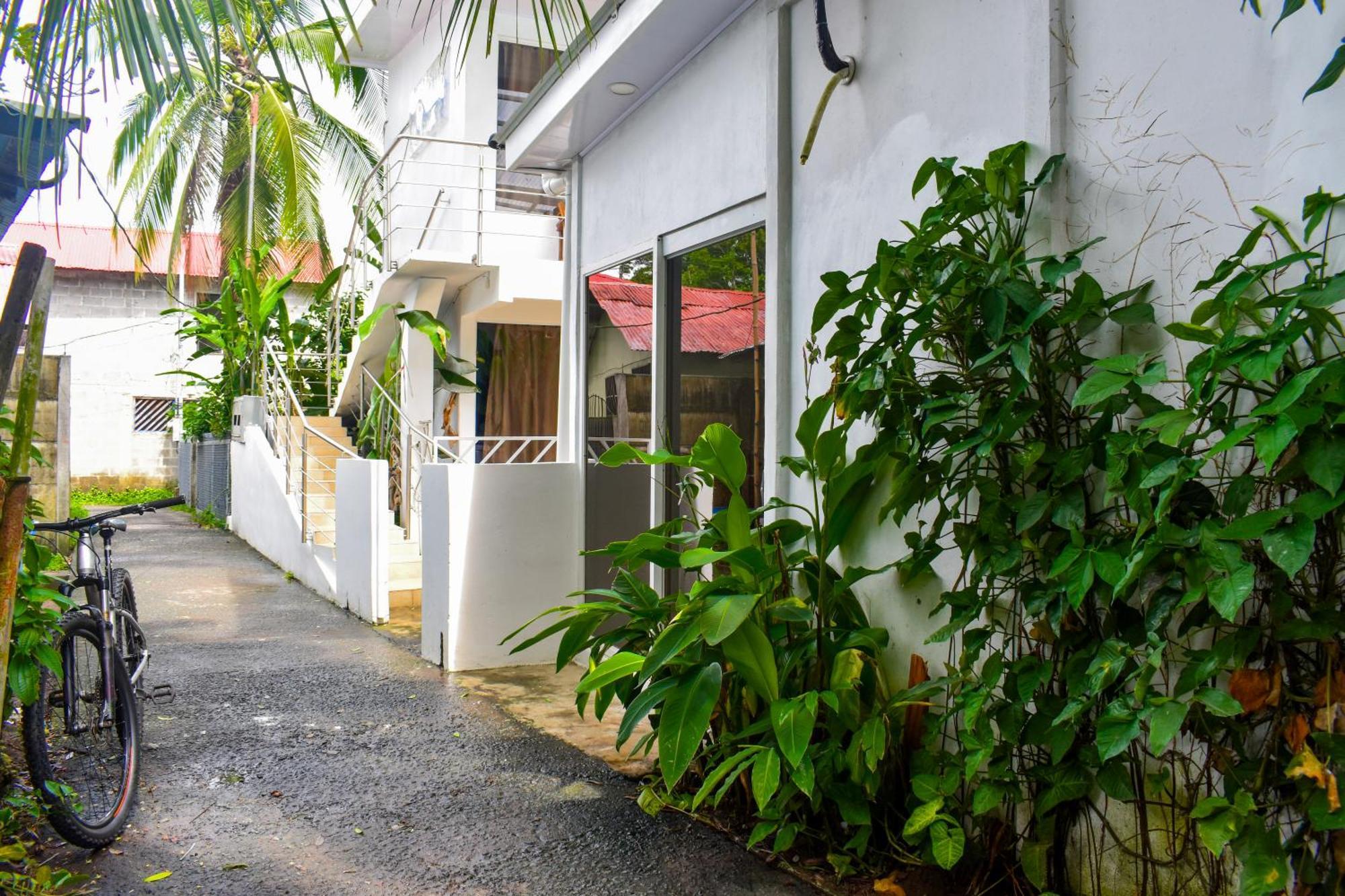 Hotel Serendipity Tortuguero Exterior photo