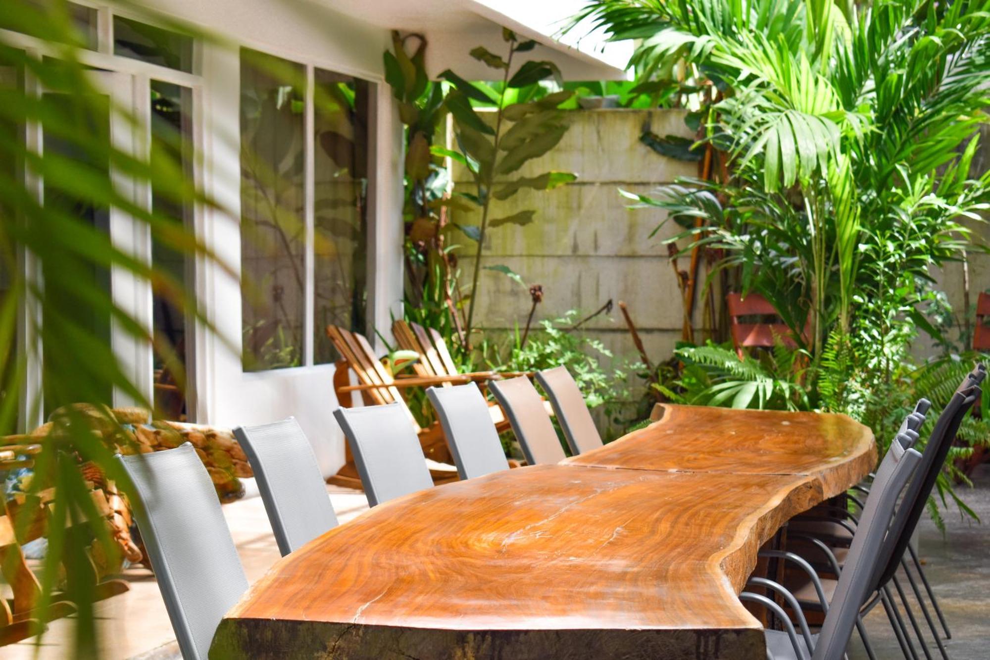 Hotel Serendipity Tortuguero Exterior photo