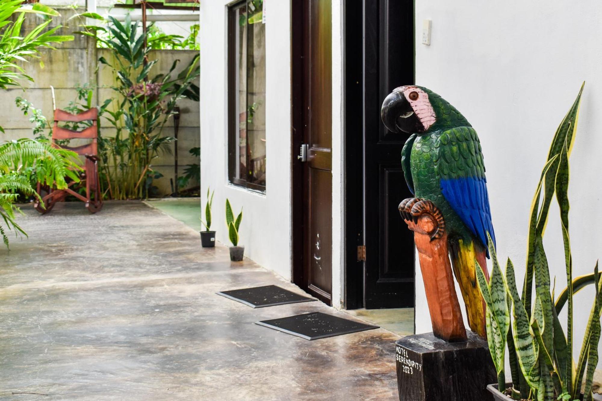 Hotel Serendipity Tortuguero Exterior photo